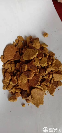 玉米饼与饲料 一种作物的双重角色