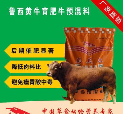【牛饲料 养牛饲料 肉牛预混料排行榜】价格_厂家_图片 -
