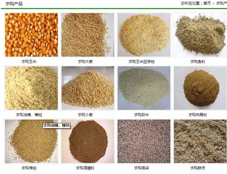 饲料原料市场回暖 高价收购信号释放，产业链迎变局